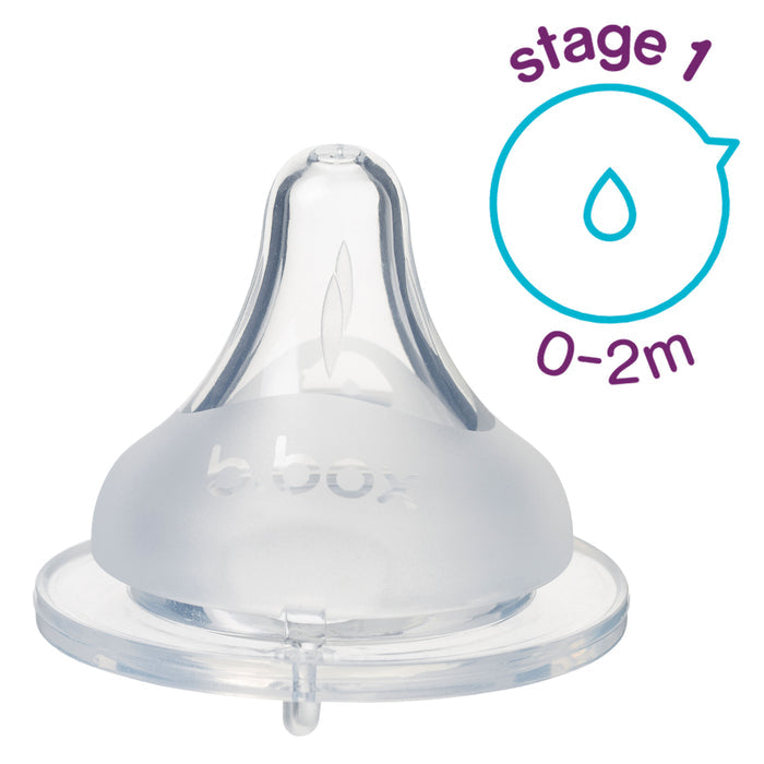 B.BOX BABY BOTTLE ANTI-COLIC TEAT 2PCS